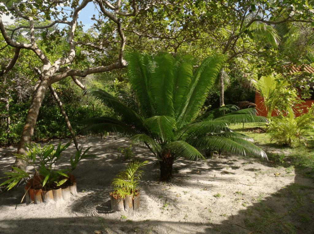 Pousada Quartinho De Praia Boipeba Island Exterior photo